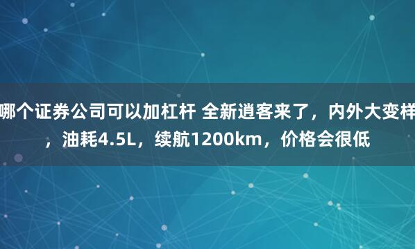 哪个证券公司可以加杠杆 全新逍客来了，内外大变样，油耗4.5L，续航1200km，价格会很低
