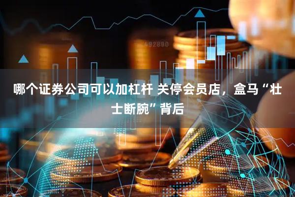 哪个证券公司可以加杠杆 关停会员店，盒马“壮士断腕”背后