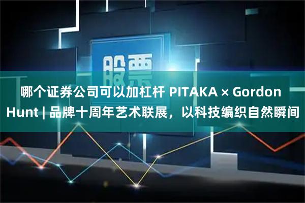 哪个证券公司可以加杠杆 PITAKA × Gordon Hunt | 品牌十周年艺术联展，以科技编织自然瞬间