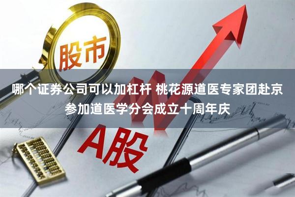 哪个证券公司可以加杠杆 桃花源道医专家团赴京参加道医学分会成立十周年庆